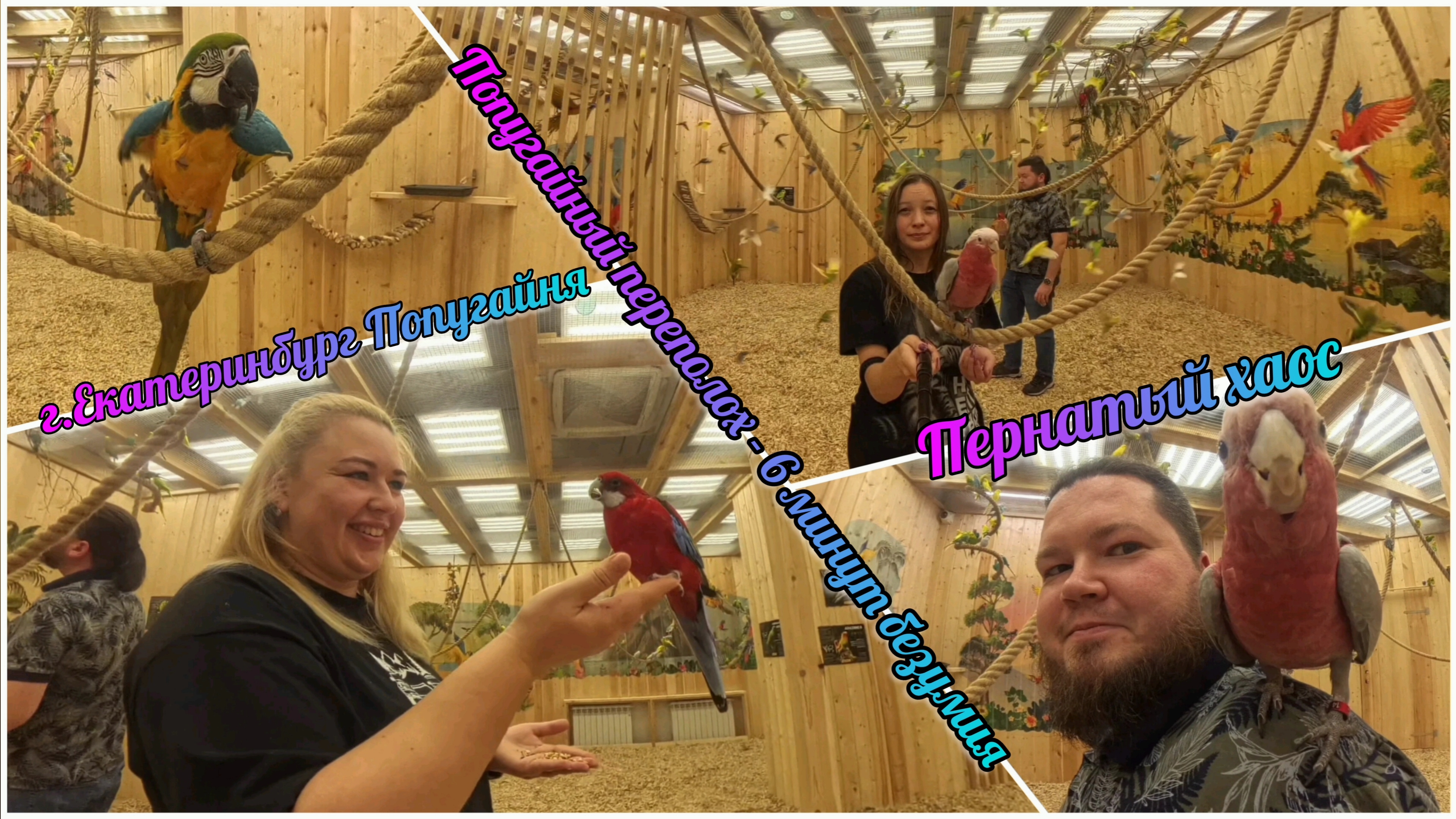 09.11.2025 Попугайня. В гостях у пернатых болтунов.