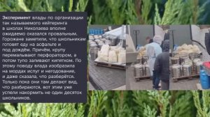 Николаев 11 декабря 2025 года (новости)