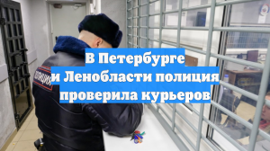 В Петербурге и Ленобласти полиция проверила курьеров