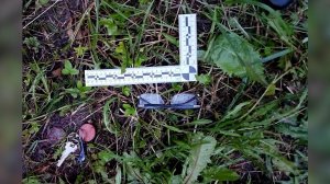 Преступление и наказание