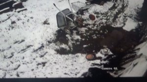 В кормушке есть еда, но интересно отнять у кого-то     ПОДПИШИСЬ