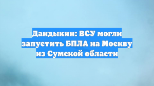 Дандыкин: БПЛА ВСУ атаковали Москву из Сумской и Черниговской областей