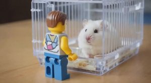 МУЛЬТИК ПРО ЛЕГО | ВИДЕО ПРО ЛЕГО | ЛЕГО | ЛЕГО ЧЕЛОВЕЧЕК ХУЛИГАНИТ