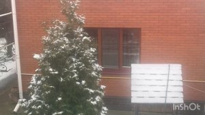 11-12-2025 ДОБРОГО ЗИМНЕГО УТРА,ДРУЗЬЯ ❤️❤️❤️/жизнь здесь и сейчас ❤️❤️❤️