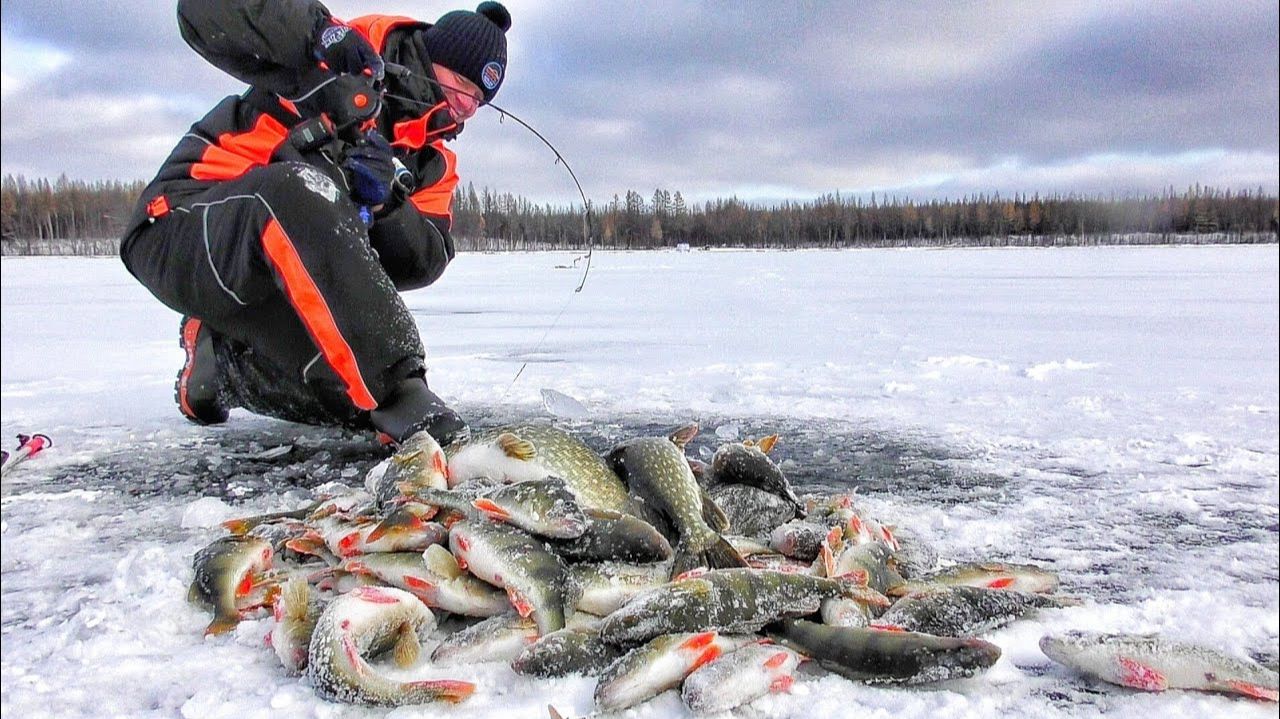 Крутая Зимняя Русская рыбалка. Рыбалка в Сибири. Рассказы старого рыбака. Интересный улов рыбы