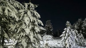 Зимняя морозная ночь . Музыка релакс .