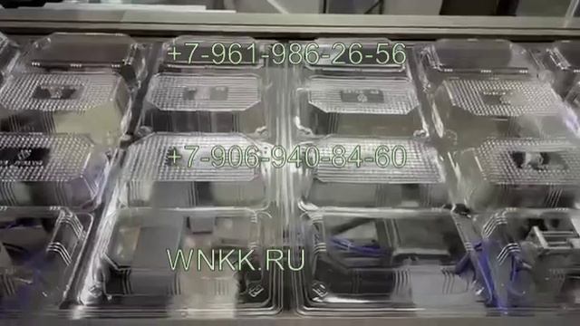 Термоформовочная машина для производства контейнеров M16 смотреть онлайн