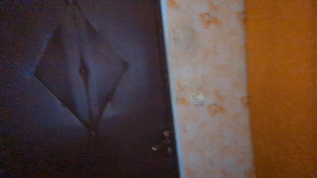 Дом 90 кв.м. на участке 12 сот. д. Колбино, Репьевский р-н. смотреть онлайн