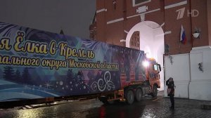 В Кремль доставили главную елку страны.