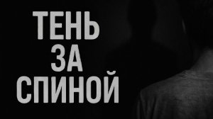 Тень за спиной. Страшные. Мистические. Творческие истории