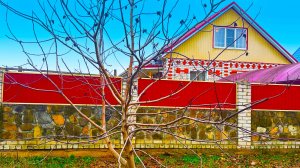 Просторный дом на большом участке с виноградником