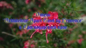Отель «Arkhitektor Apart Hotel by Provence» в Краснодарском крае