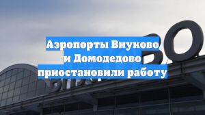 Аэропорты Внуково и Домодедово приостановили работу