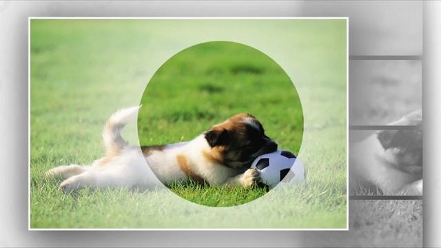 Atmosession - Vol.16 (chillout)