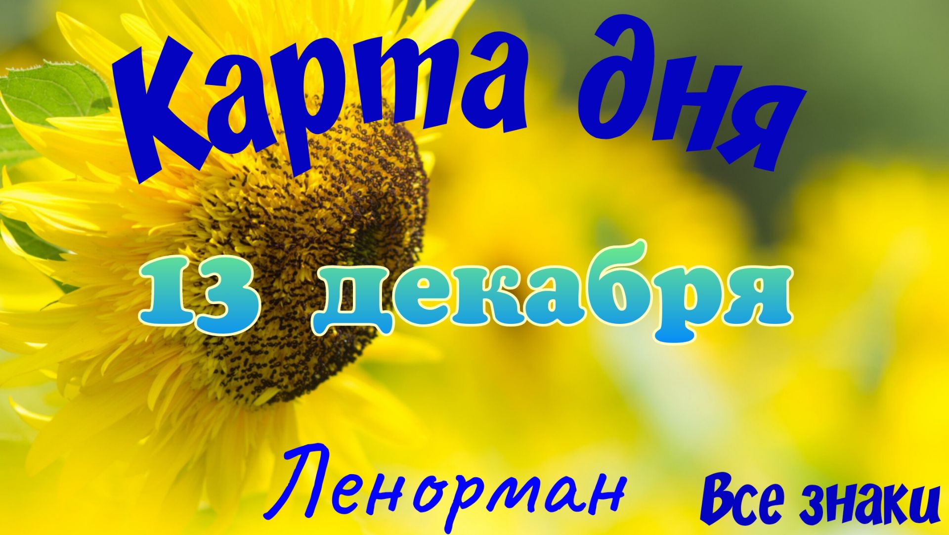 Карта дня ❄13 декабря 🎄☃️Ленорман. Тайм-код в описании🦢