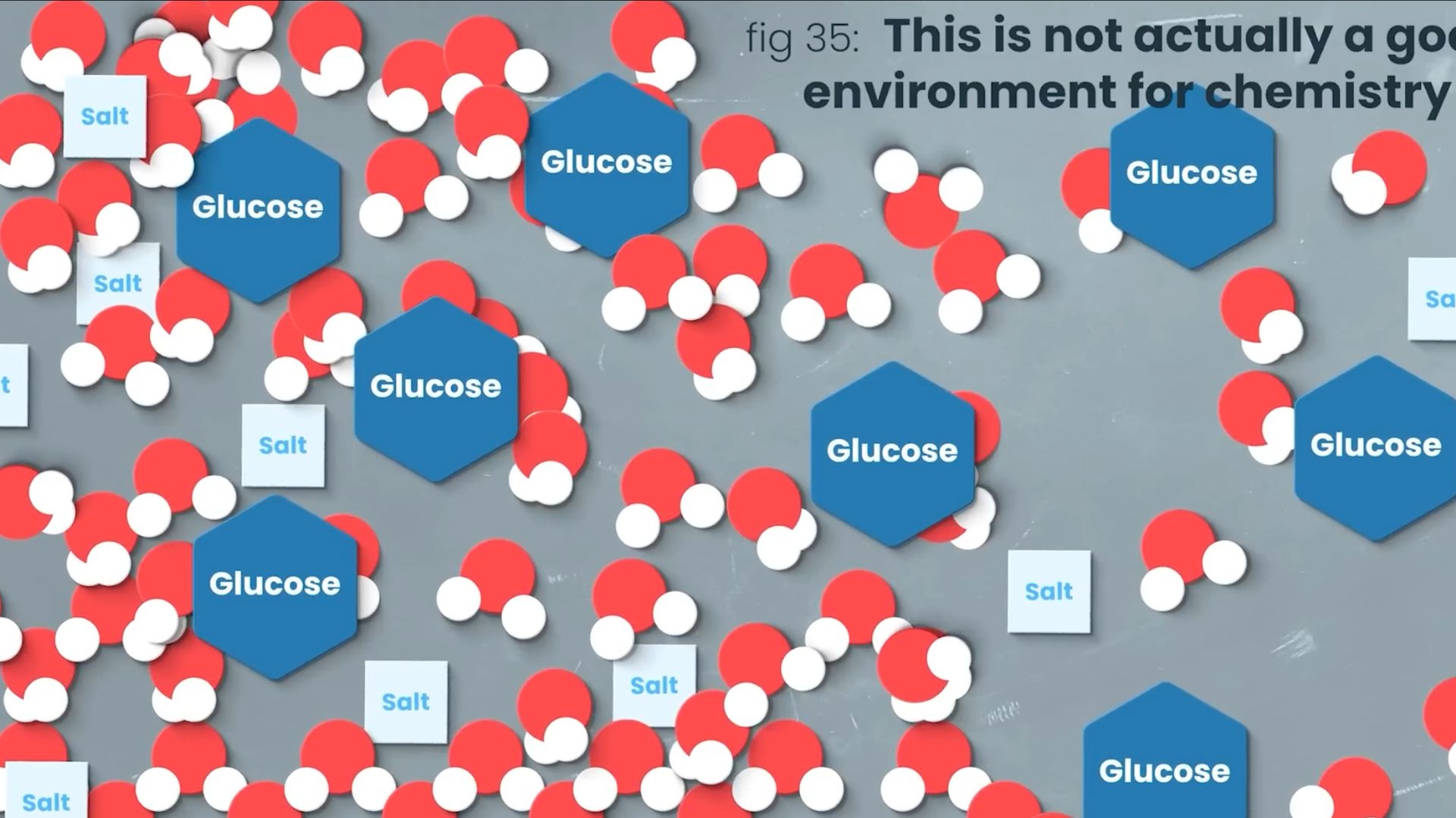 Белки-антифризы
