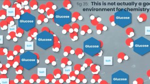 Белки-антифризы