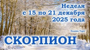 СКОРПИОН | ТАРО прогноз на неделю с 15 по 21 декабря 2025 года