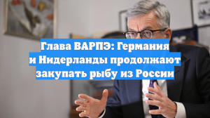 Глава ВАРПЭ: рыбопромышленники опасаются возврата экспортных пошлин