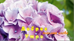 красивые открытки с добрым утром – пожелания добра на каждый день