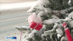 Вести-Томск, выпуск от 11.12.2025 09:30