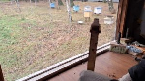 Чем Кормить Огнёвку?и как её Развести.Загрузка Материала в Инкубатор.