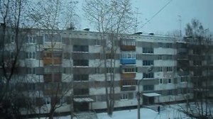 Вроде уже зима наступила, а птицы ни как не улетят в теплые края. Декабрь 2011.