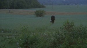 Яблоки спелые падают