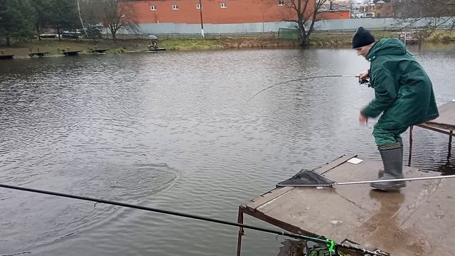 Светлые Горы Форель2 11.12.2025г.