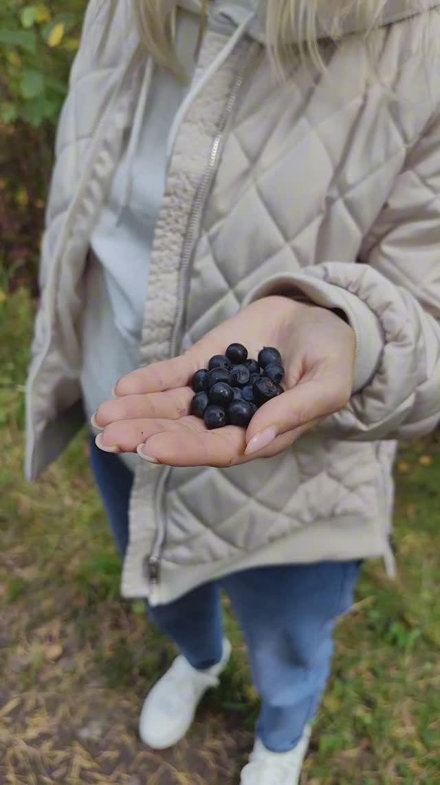 Сергей и Алиса | История двух сердец | Дачные видеозарисовки | Черника в сентябре