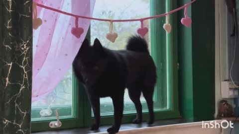 Живу и вяжу/ вязальные процессы/ вязанные гирлянды/ делаю глазки/ зомби-девочка/покупки