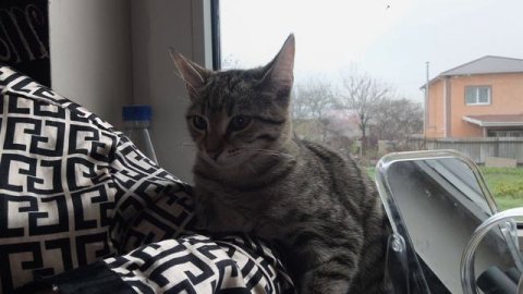 Семейный влог