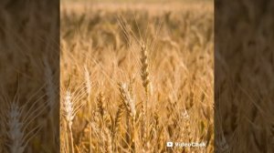 О чём Природа может нам поведать