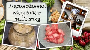 Маринованная капустка-пелюстка. Быстрая, оригинальная и вкусная закуска для вашего стола