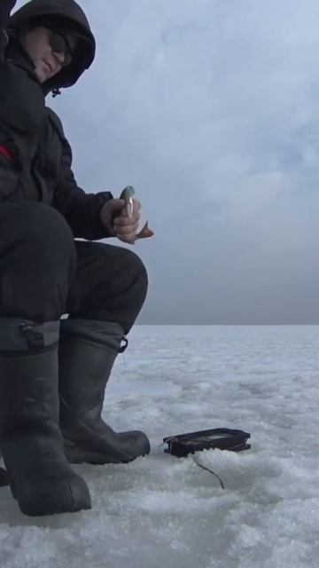 Поймал-Отпусти #рыбалка смотреть онлайн