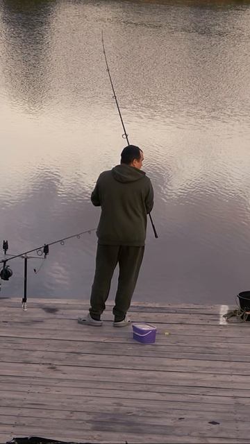 Поклевка онлайн