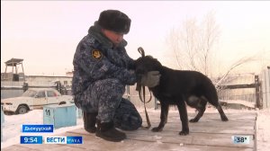 09:30 ВЕСТИ САХА 11/12/25 НА ЯКУТСКОМ ЯЗЫКЕ