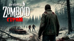50к | Project Zomboid 42.12.3 | СТРИМ #27