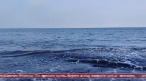 11.12.2025 Сахалинские блоги. ЖИЗНЬ НА САХАЛИНЕ. Был шторм на море