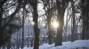 Дорожные службы на Ставрополье готовы к непогоде