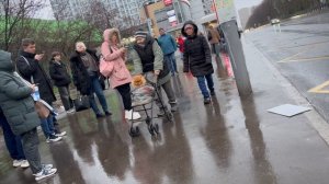 звезда Крылатского Шпиц