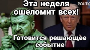 ТАМИР ШЕЙХ / СЕРГЕЙ ЕГОРИН. ЭТА НЕДЕЛЯ ОШЕЛОМИТ ВСЕХ ГОТОВЯТСЯ РЕШАЮЩИЕ СОБЫТИЯ