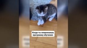 Видео от МЭН - Мне Это Нравится