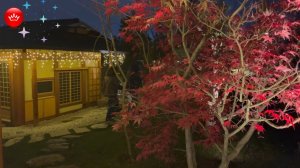 Парк Галицкого Японский сад в декабре обзорная прогулка.