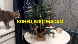 ПСИХАНУЛА И УБРАЛА ЁЛКУ ♤ конец влогмасам