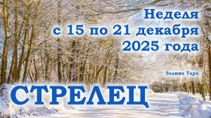 СТРЕЛЕЦ | ТАРО прогноз на неделю с 15 по 21 декабря 2025 года