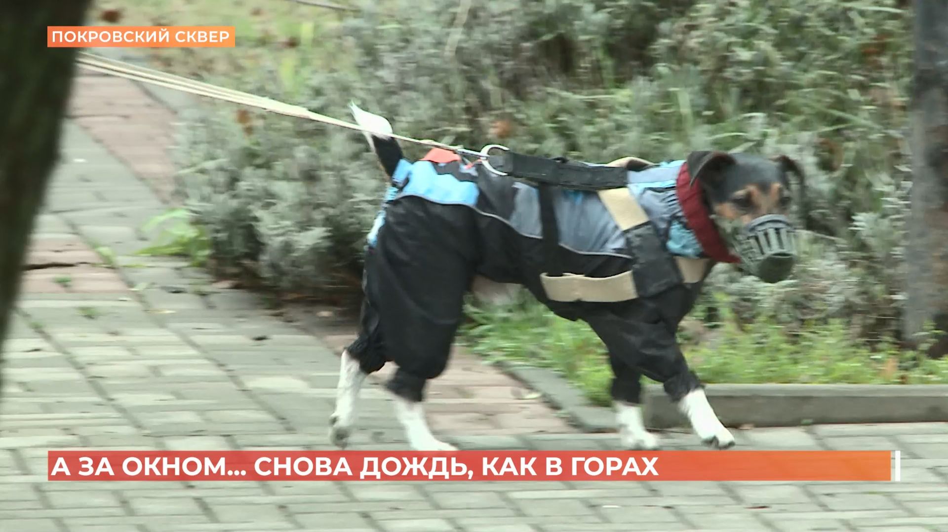 А за окном. 11 декабря 2025