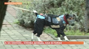 А за окном. 11 декабря 2025