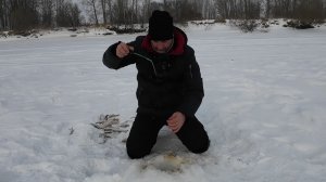 РАЗДАЧА ЗИМОЙ НА ОБИ! Рыба не смогола успокоится