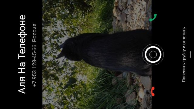 девочка барин смотреть онлайн